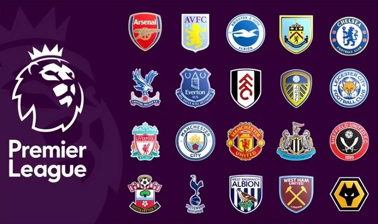 的多样化战 的多样化战